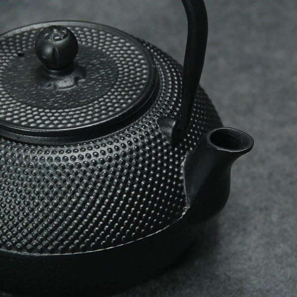 Cast Iron Teapot Kettle with Stainless Steel Infuser