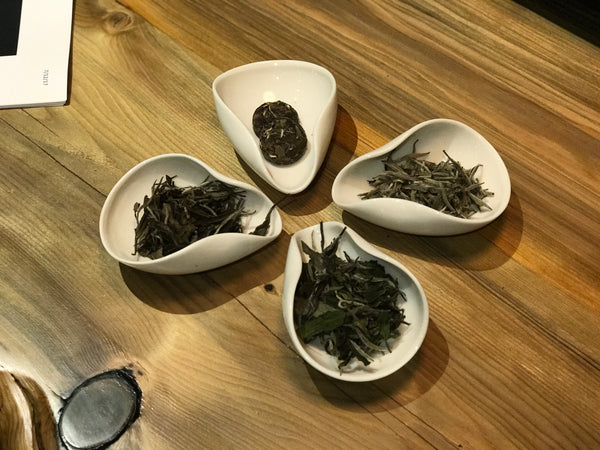 Tea Fundamentals Course