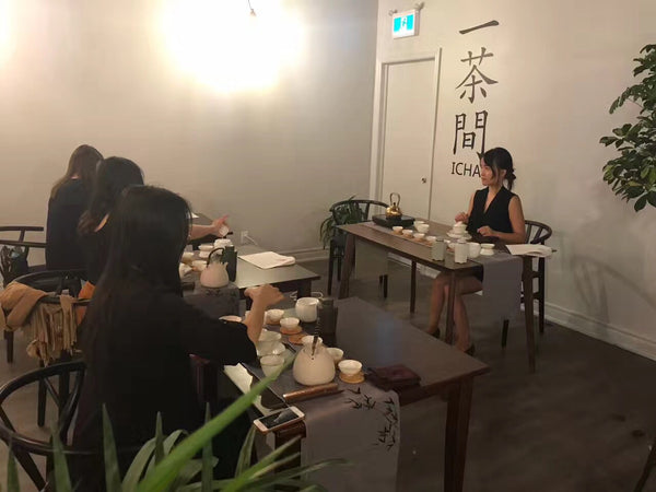 Advanced Tea Course-Chinese Tea Ceremony